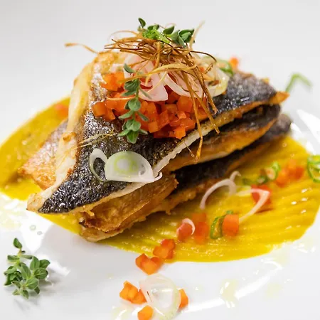 White Olive Elite 5* Laganász