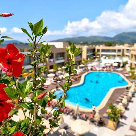 White Olive Elite Hotel Laganas